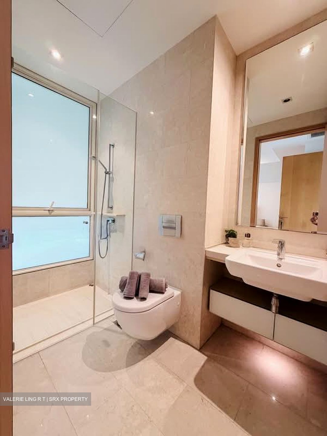 Scotts Highpark (D9), Condominium #557513311